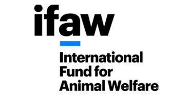 IFAW logo